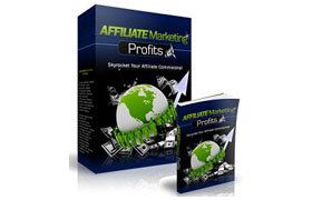 Affiliate Marketing PLR Articles Vol 2