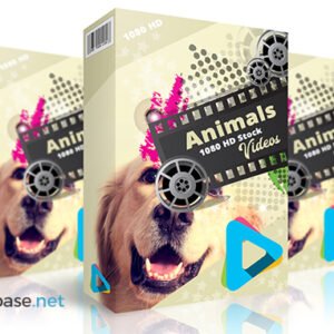 Animals 1080 HD Stock Videos V2