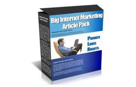 Big Internet Marketing Article Pack