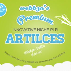Internet Access PLR Articles