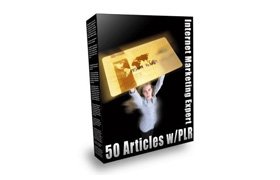 Internet Marketing PLR Articles