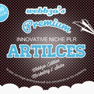 Article Marketing PLR Articles v2