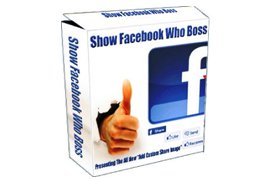 Show Facebook Who Boss WP Plugin