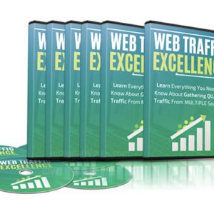 Web Traffic Excellence
