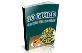 10 Mold