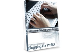 10 Original Articles Blogging For Profits (Copy)