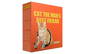 Cat Mans Best Friend PLR Articles