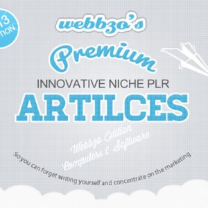 Data Recovery PLR Articles