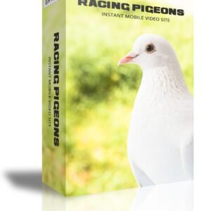 Racing Pigeons Instant Mobile Video Site