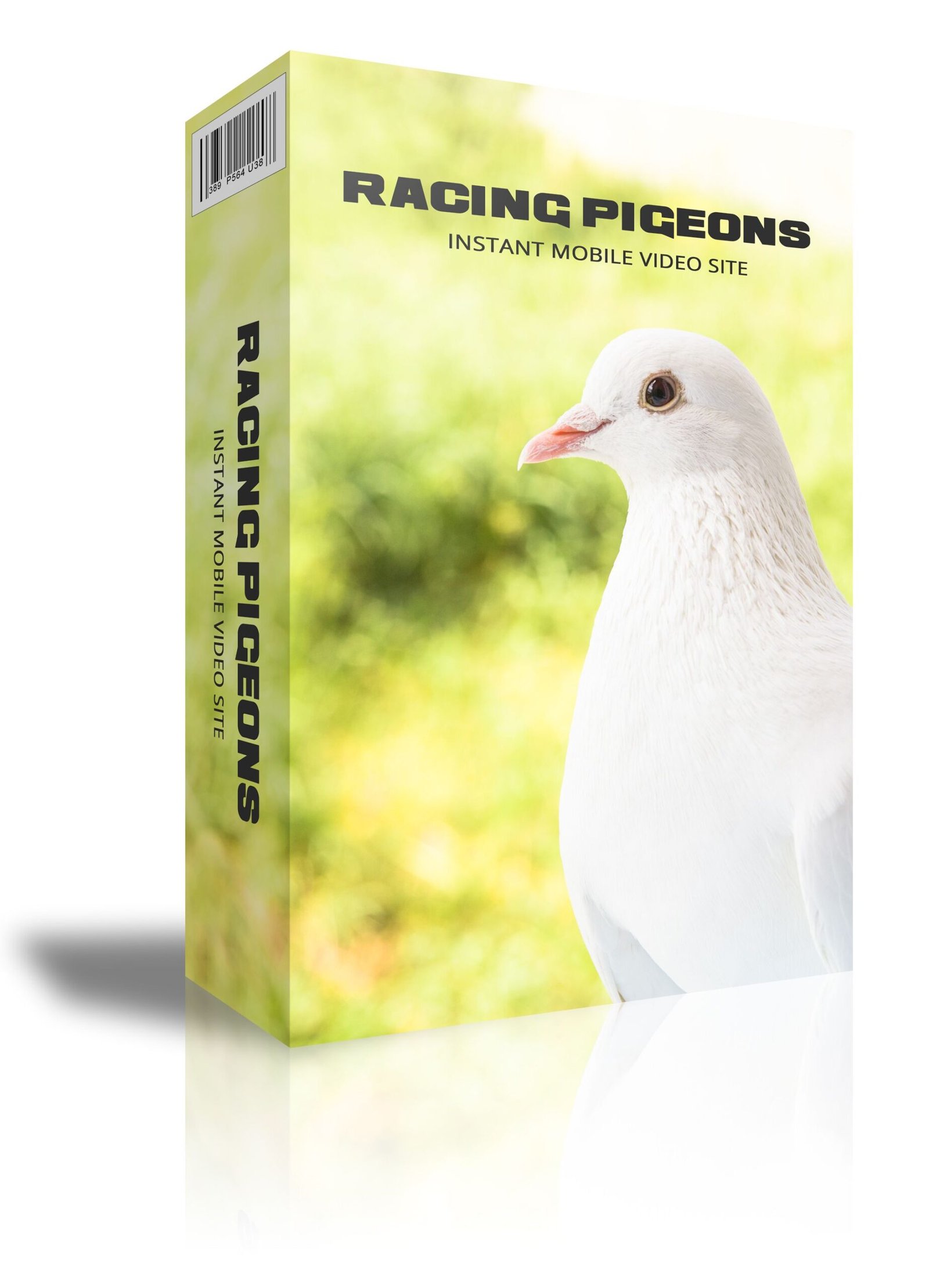 Racing Pigeons Instant Mobile Video Site