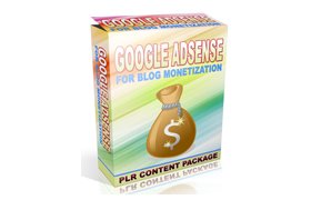 Google Adsense For Blog Monetization