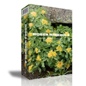 Rosea Rhodiola Instant Mobile Video Site