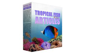 Tropical Fish PLR Articles